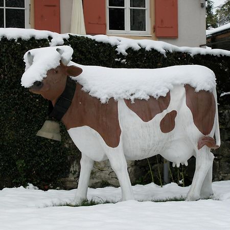 Historic Hotel Du Pillon Les Diablerets Esterno foto