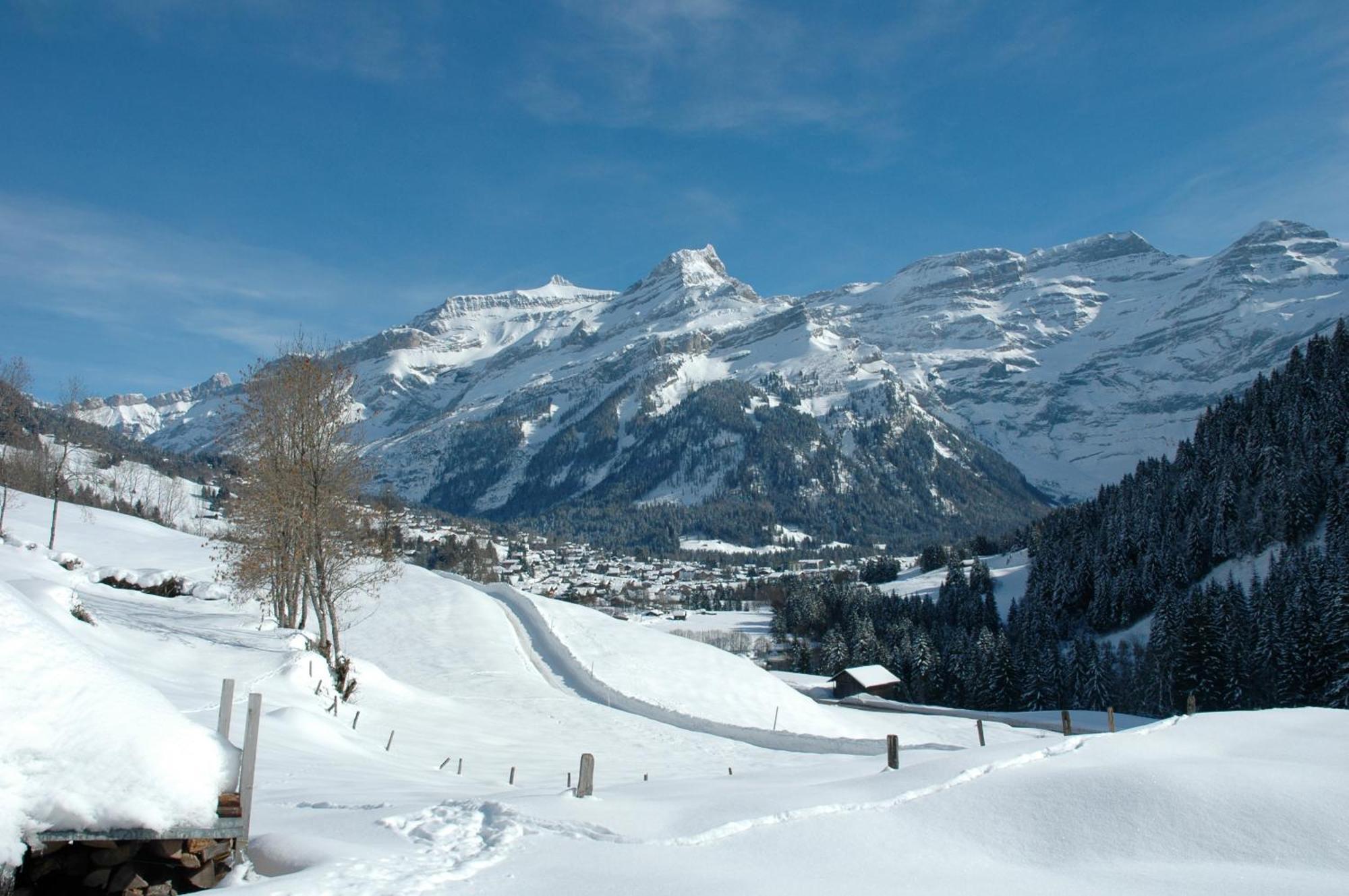 Historic Hotel Du Pillon Les Diablerets Esterno foto