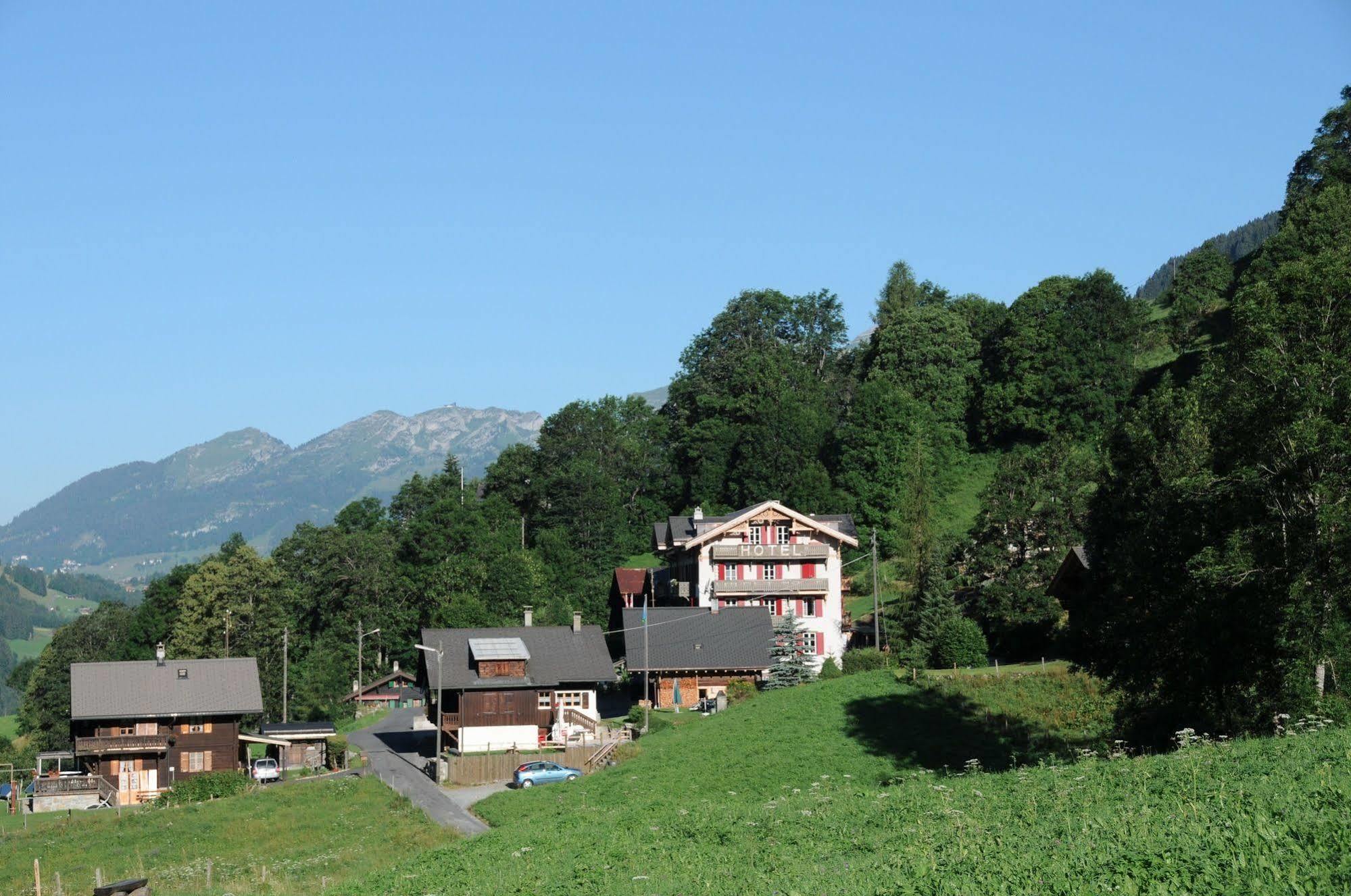 Historic Hotel Du Pillon Les Diablerets Esterno foto