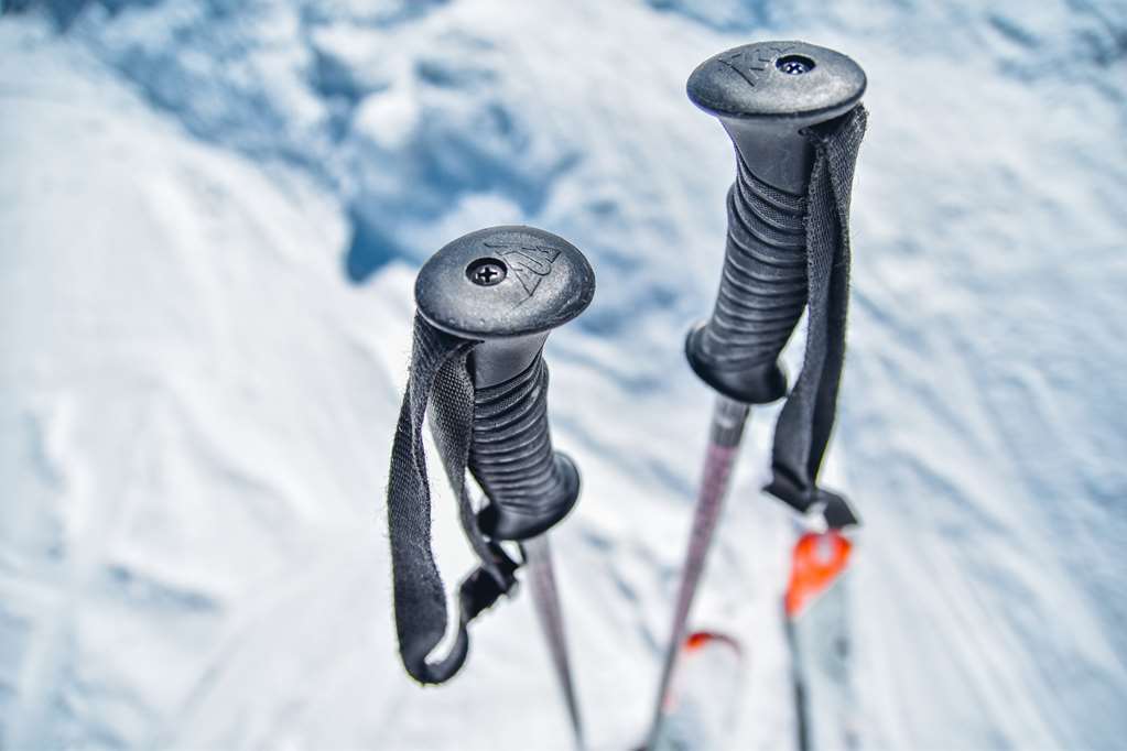Historic Hotel Du Pillon Les Diablerets Servizi foto