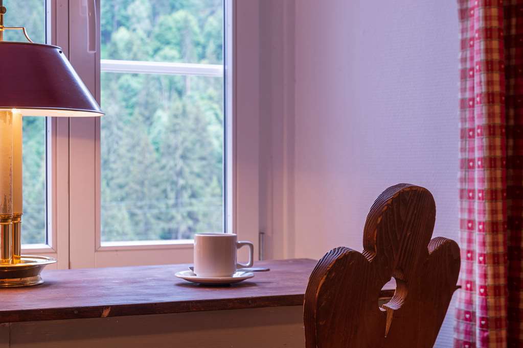 Historic Hotel Du Pillon Les Diablerets Amenities foto